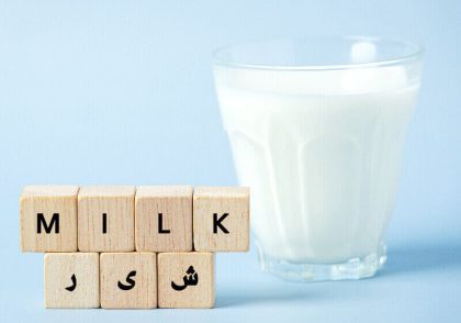 شیر