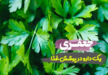 خواص سبزی جعفری