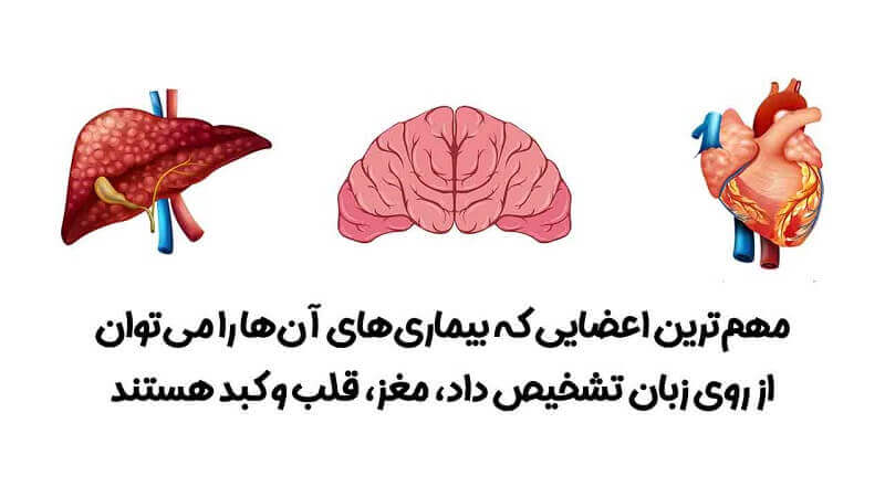 معاینه زبان اعضای مغز، قلب، کبد در طب سنتی