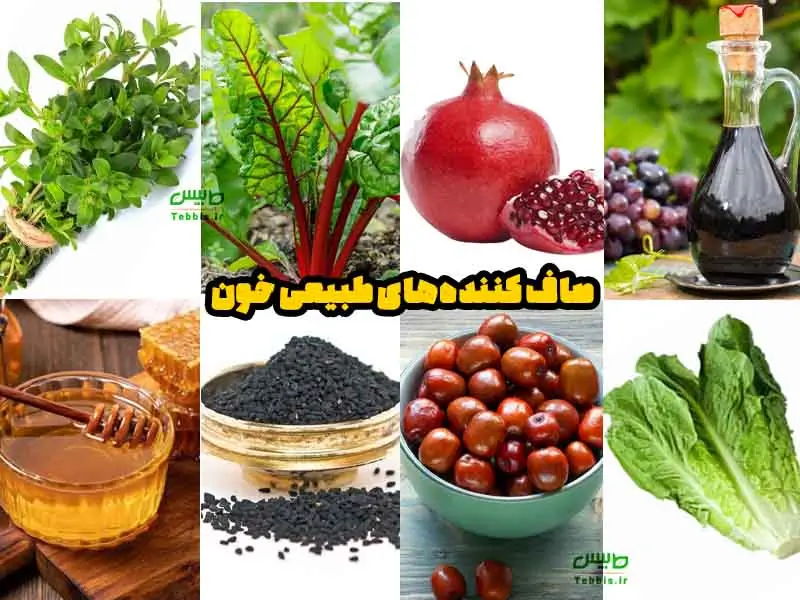 صاف‌کننده‌های طبیعی خون