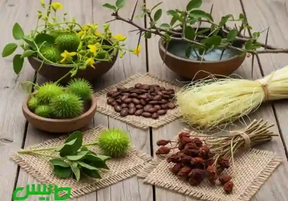 100 گیاه قوی برای پودر کردن سنگ کلیه و مثانه