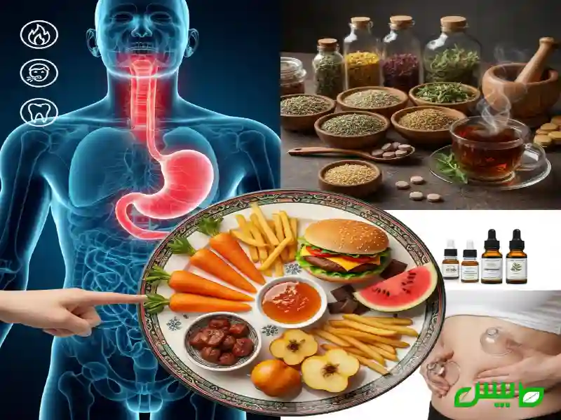 قوی ترین درمانهای گیاهی برای ریفلاکس، ترش کردن و سوزش سر دل