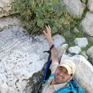 کشف گیاه سداب در ایران